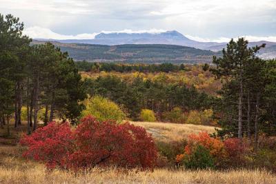 Прикрепленное изображение: YEwPbUESeEM.jpg